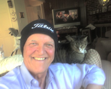 Golf Hat, Cat & TV