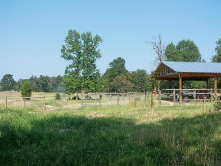 North Carolina Farm