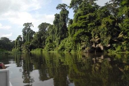 Tortuguero Canals, Costa Rica