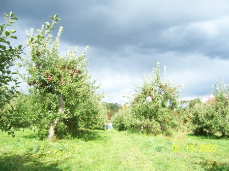 apple picking 10-5-2008e