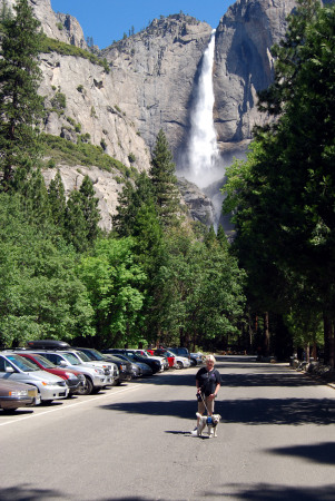 Marcus Talley's album, Yosemite 2010