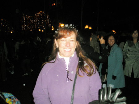 Disneyland at Christmas 08