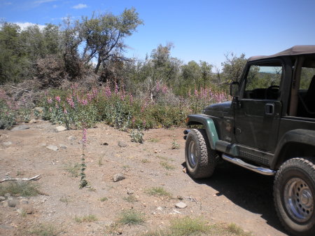 Lew Dodendorf's album, Jeep Trip 2011