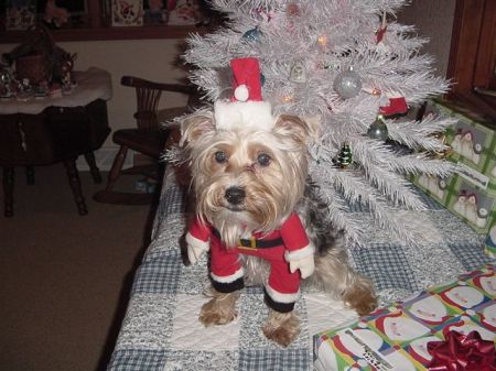 Santa Sparky