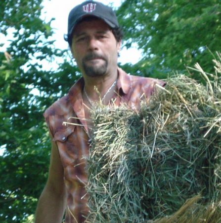 in the hay