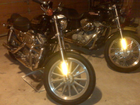 My HD Motorcycles