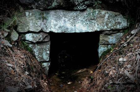 Panther in culvert?