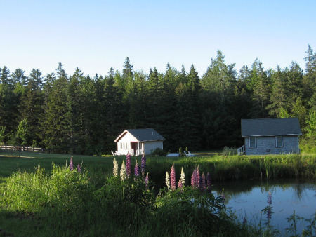 Sunrise Cottages