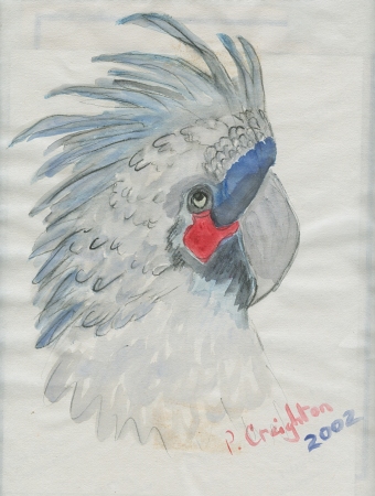 Watercolor (2002)