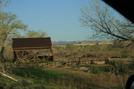 OLD HORSE OR HAY SHELTER