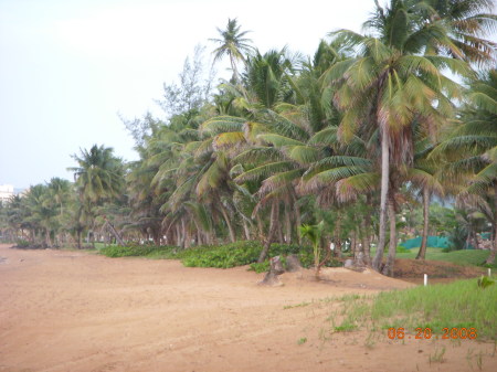 Playa en Rio Grande 2008