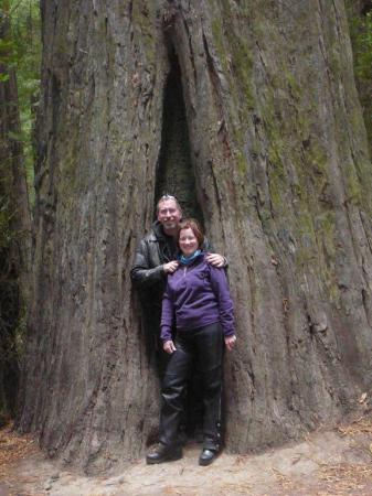 Bruce & I in the Redwood Forest