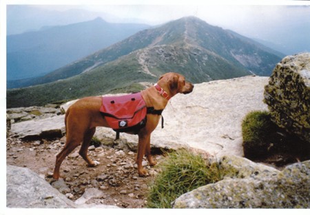 Jess on Mt. Lafayette Hike - App. Trail