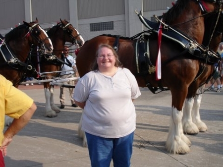 Pam And The Clydsdales