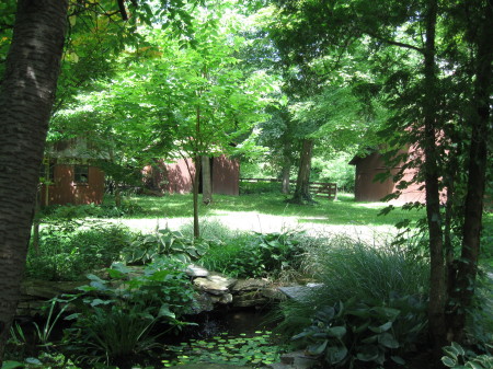 Pond in front yard at new place