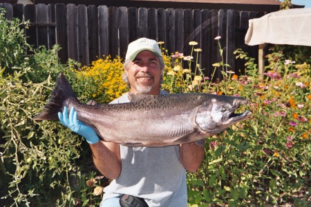 35 lb salmon