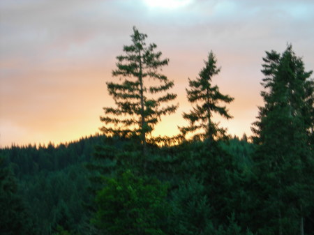 McDonald Forest, Oregon.