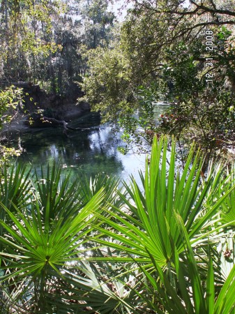 Blue Springs Boil