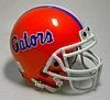 Palm Beach Gardens "Gators" Helmet