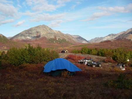 sheep & moose camp