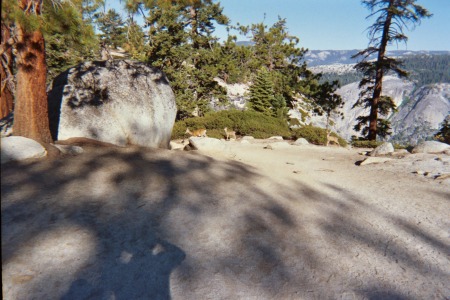 Hiking in Eastern Sierra's