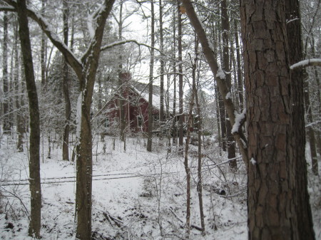 My house in snow, 2010