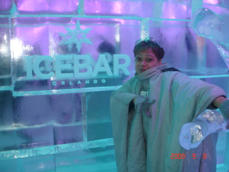 ICE BAR - Orlando, FLA