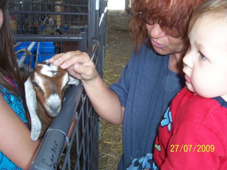 At the county fair