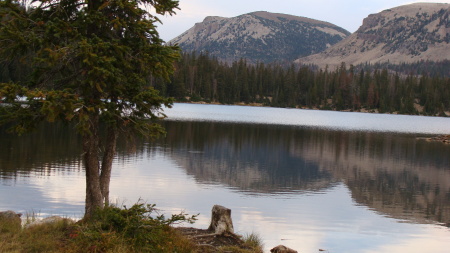 Mirror Lake 2008