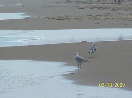 South Padre Island Beach