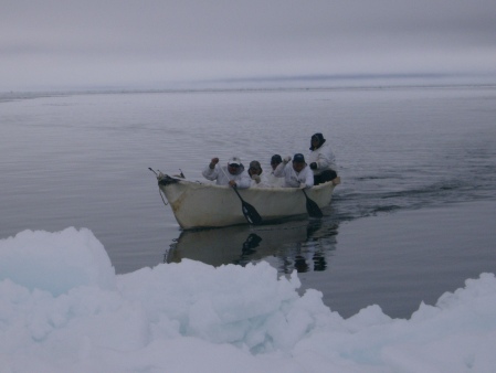 Whaling crew heading back to ice pack