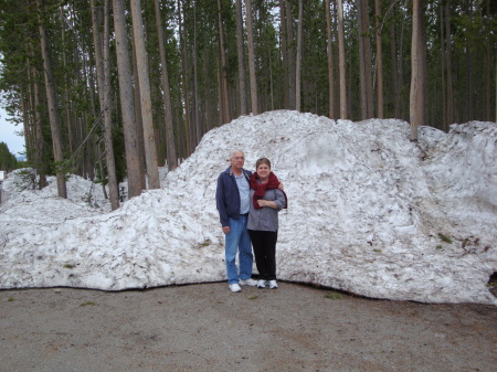 Yellowstone Nat'l Park