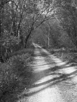 Country Path Black and White
