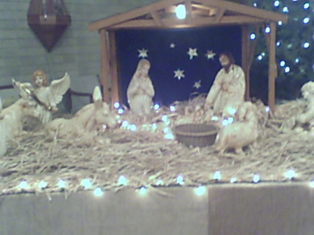 The Nativity Scene At My Church