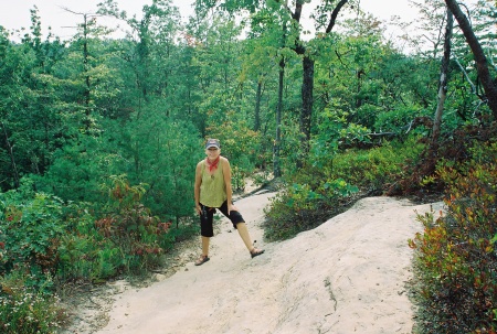 Along the trail, Auxier Mtn., Red River Gorge