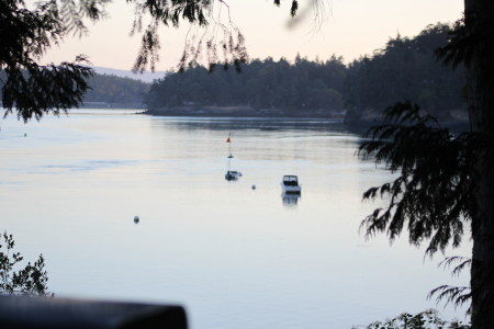 A view from the deck of Yacht Haven