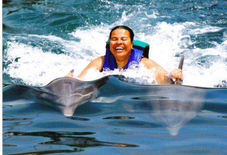 dolphin swim in mexico