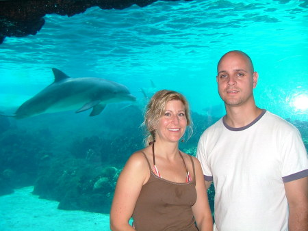 Sea World 2008