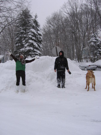 04.under the snow 02-26-2010