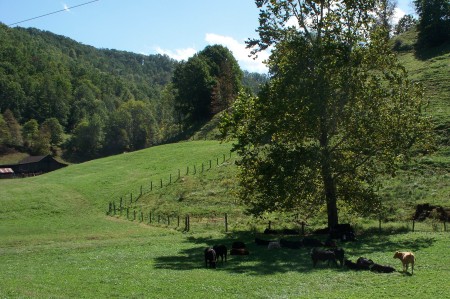 The Rolling Hills of West Virgina