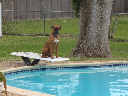 Lifeguard on duty!