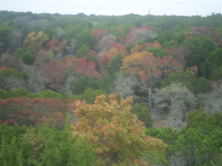 the beautiful view of our land in the fall