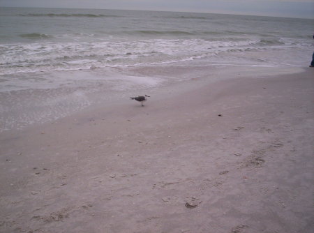 lonely on the beach