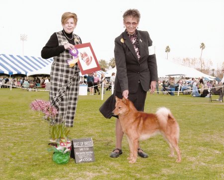 At the dog show in Palm Springs