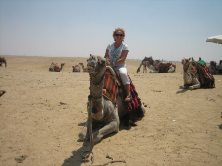 I rode through the desert on a camel with no n