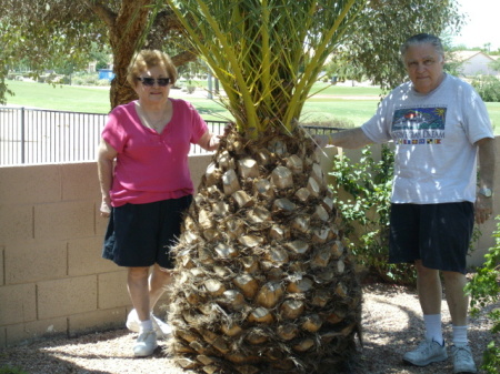 MOM AND DAD ARIZONA 09