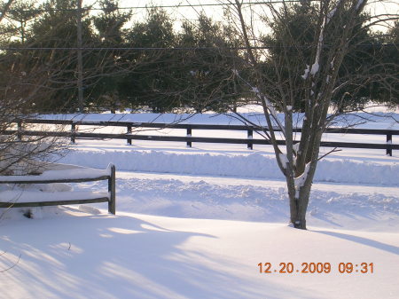 Blizzard 2009 008