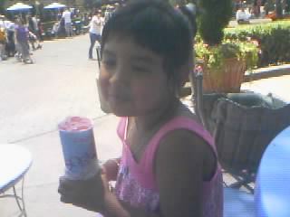 Disneyland 2009