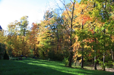 Autumn on the homestead