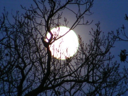 winter full moon